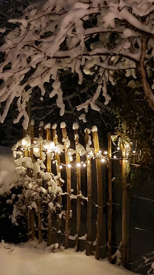 2912-2017 Stiltreu Haselnuss Staketenzaun bei Schnee mit Lichterkette
